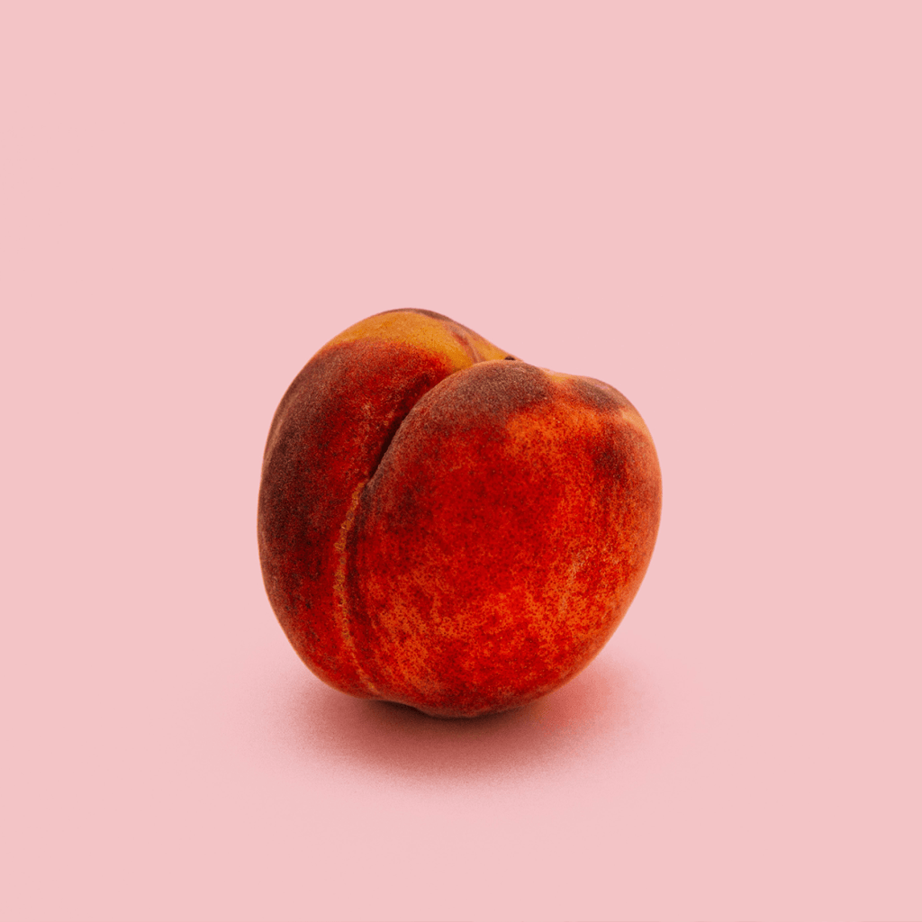 Anus Anatomie, Muskulatur & Funktion Proktologen24